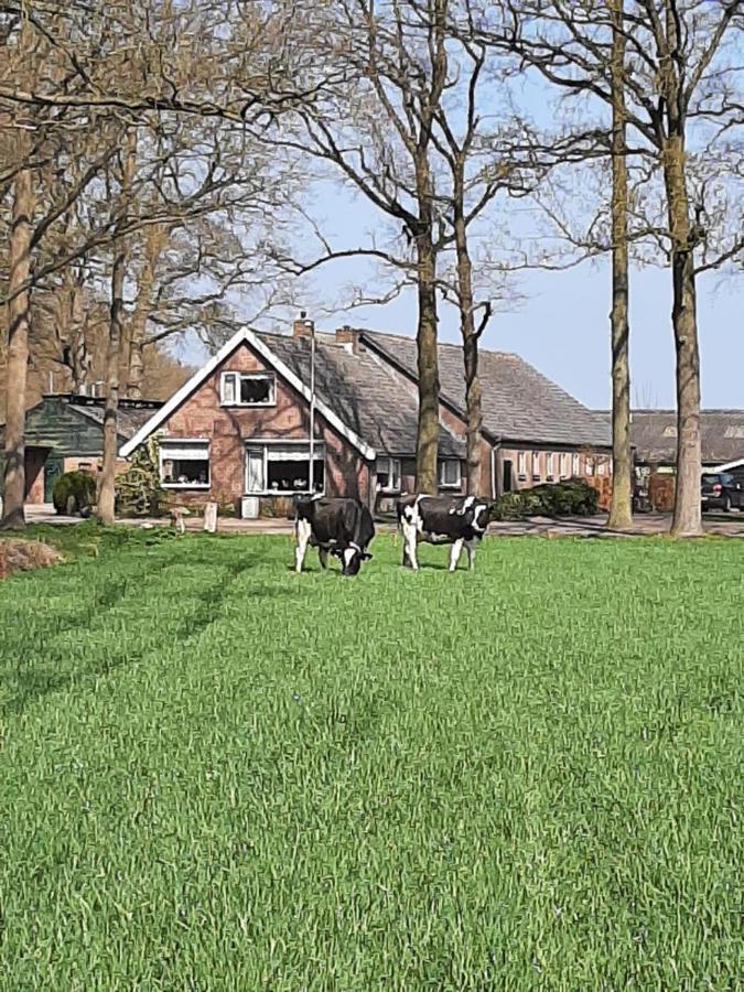 Hoeve De Laan Woudenberg Екстериор снимка